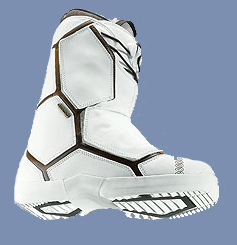 Salomon F LTD